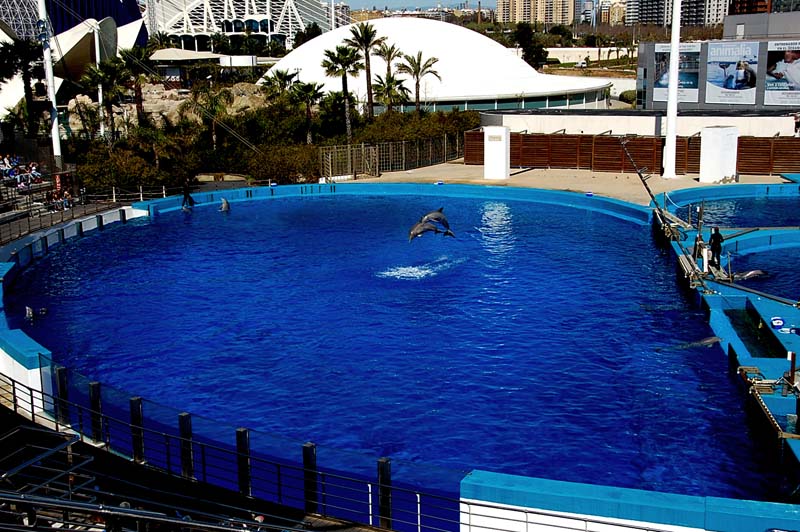 viaje a Valencia 110