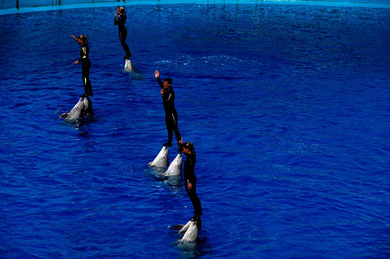 viaje a Valencia 114