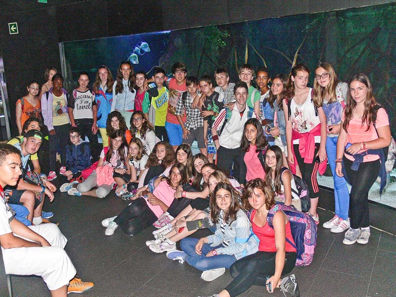 sansea1