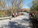 romanico_e (5)