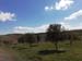 romanico_e